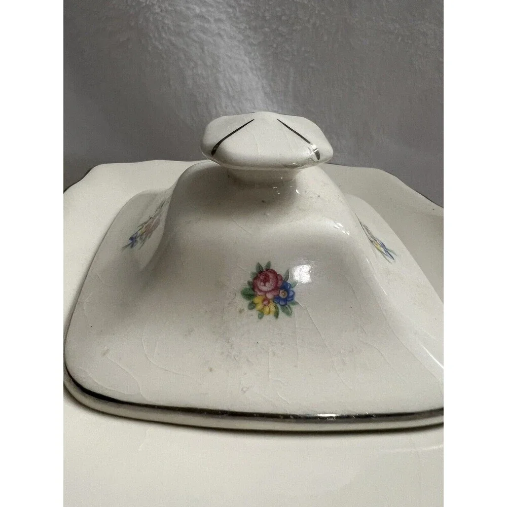 Teapot - W S George Lido Canarytone   Floral Silver Trim USA- crazing at bottom - Picture 3 of 13